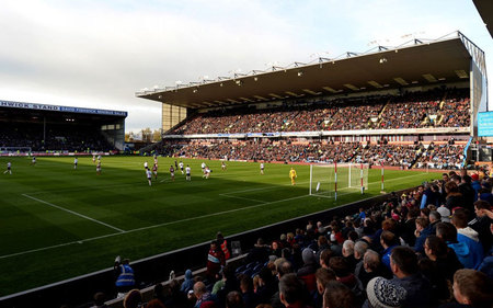 为这一选择 为这一选择